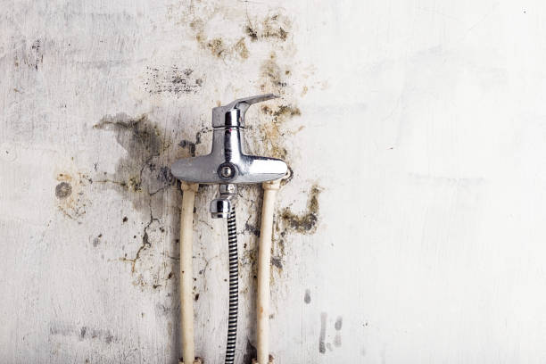 Best Insurance-Related Mold Remediation in Kings Park, VA
