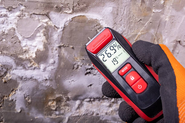 Best Residential Mold Remediation in Kings Park, VA