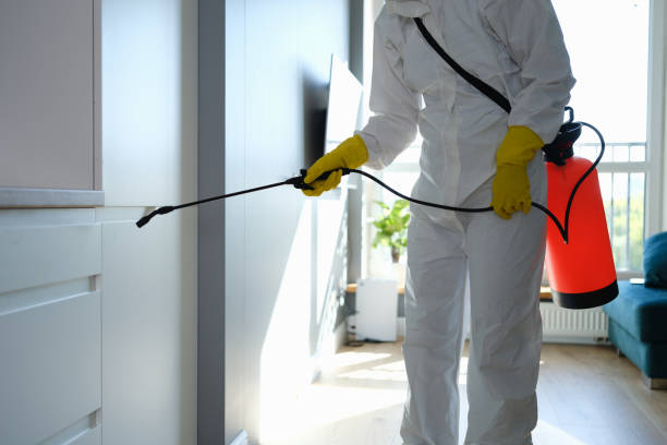 Best Health and Safety Mold Remediation in Kings Park, VA